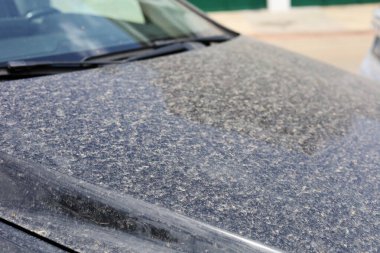 Arabalarda Sahra 'dan gelen kum, kirli arabalar, tozla kaplı araba, yüksek kaliteli profesyonel fotoğrafçılık.