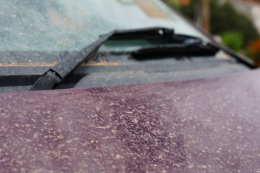 Arabalarda Sahra 'dan gelen kumlar, kirli arabalar, tozla kaplı bir araba.