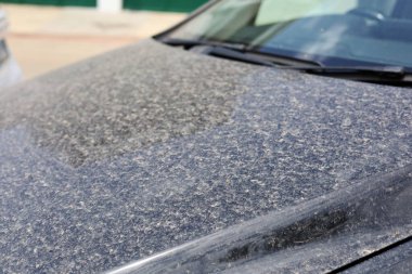 siyah ve beyaz benekli ıslak araba. Araba yıkama, araba yıkama, araba yıkama. Sahra 'dan gelen kumla yağan kirli yağmur arabalarda izler bıraktı.