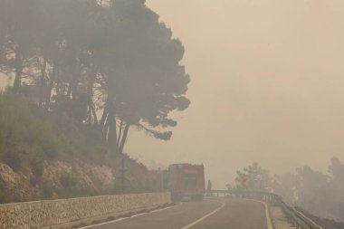 Tucepi, Hırvatistan, 31,07.2024. Büyük bir orman yangınında, Hırvatistan kıyısındaki evlerin yakınında, deniz kıyısındaki bir turizm beldesinde, yol kenarında bir yangın ile birlikte bir orman yandı.