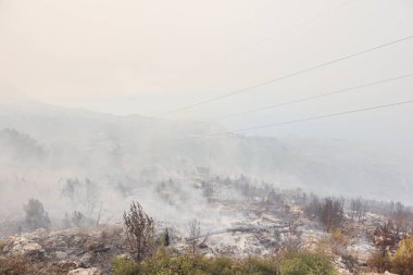  Büyük bir orman yangınında, Hırvatistan kıyısındaki evlerin yakınında, deniz kıyısındaki bir turizm beldesinde, ormanda bir yangın çıktı. Ormanda yanan ağaçlar. Hırvat, ateş, dalmaçya.