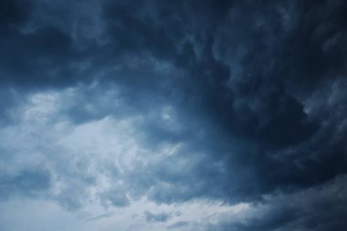   Eğitim, fotokopi alanı, yüksek kaliteli kitaplar, eğitim, okul, kütüphane, kitap, okul, kütüphane, eğitim, öğrenci, üniversite, sınıf, dünyanın en ünlü yazarlarının okumaya hazır, kitap festivali