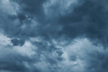   Eğitim, fotokopi alanı, yüksek kaliteli kitaplar, eğitim, okul, kütüphane, kitap, okul, kütüphane, eğitim, öğrenci, üniversite, sınıf, dünyanın en ünlü yazarlarının okumaya hazır, kitap festivali