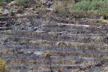 terk edilmiş bir madenin kalıntıları.