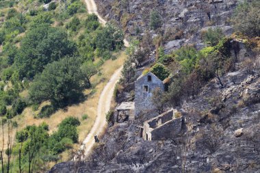 Şehirde terk edilmiş eski bir ev.
