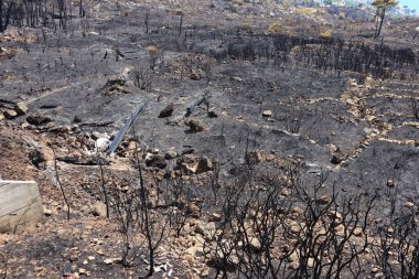 Bir ateş yerle bir olur..