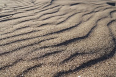Kumsaldaki kumu kapat, alçak açılı görüş..