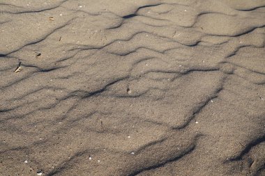 Yumuşak dalgalı bir kumun dokusu