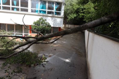 Şehirdeki terk edilmiş eski bina.