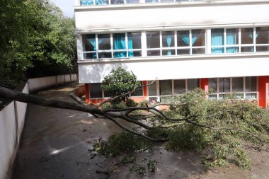 Şehirdeki eski ev, Fırtına, rüzgarlı yağmur, kötü hava, felaket, bozuk ağaç, sökülmüş ağaç, fırtına, hasar, ai