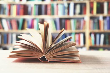 Masanın üzerinde açık kitap, eğitim geçmişi