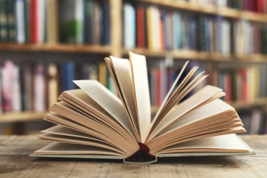 Masada bir yığın kitap