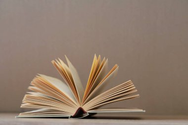 kitap beyaz zemin üzerine açık