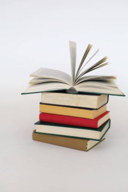 Beyaz arka plan üzerine açık bir kitap, açık sayfalı bir kitap, kapatma, okulda rafta duran kitaplar, ahşap masa üzerine açık bir kitap. Okul konseptine geri dönüş, yüksek kaliteli kitap fotoğrafçılığı, en iyi kitap fotoğrafı, en ünlü Alman yazarlar, Almanya