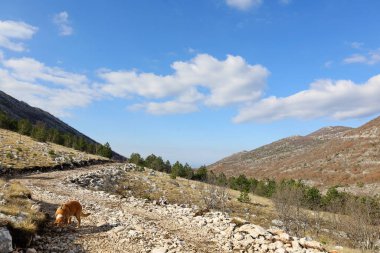 Dağları ve mavi gökyüzü olan güzel bir manzara.
