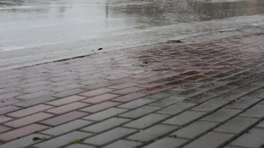 Yağmur, yağmur bulutları, sonbahar yağmurlu hava, gökyüzünde fırtına bulutları, yağmur bulutlu kara dramatik bulutlar, fırtına, hava durumu, yağmur mevsimi, fırtınadan önce fırtına bulutları..