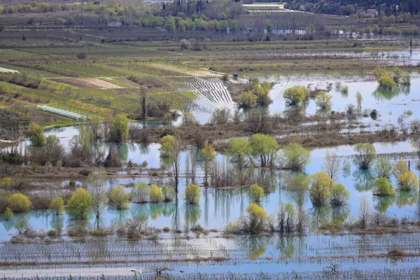 Arka planda ağaç olan bir nehirdeki küçük bir köyün tepesinden manzara