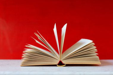 Kütüphanede açık bir kitap, beyaz bir zemin üzerine kitaplar, eğitim, öğrenim, bilgi, edebiyat, eğitim geçmişi, suç romanı, tarihsel roman, şiir koleksiyonu, masanın üzerinde açık kitap, yüksek kaliteli kitap fotoğrafları, eğitim