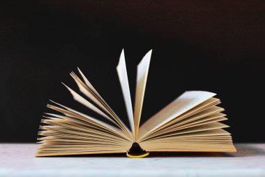 Kütüphanede açık bir kitap, beyaz bir zemin üzerine kitaplar, eğitim, öğrenim, bilgi, edebiyat, eğitim geçmişi, suç romanı, tarihsel roman, şiir koleksiyonu, masanın üzerinde açık kitap, yüksek kaliteli kitap fotoğrafları, eğitim