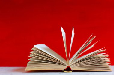 kırmızı kalem ve kitap