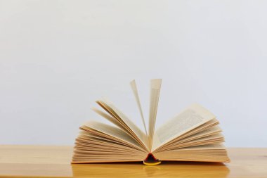 Bir yığın kitap ve bir kitap.