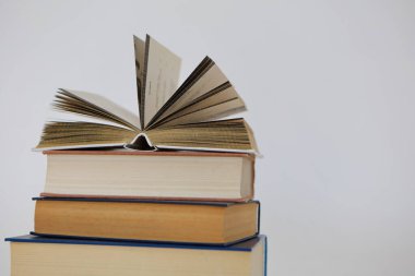 William Shakespeare 'in kitapları, edebiyat, romanlar, kısa hikayeler, şiir, makale, yüksek kaliteli kitaplar, eğitim