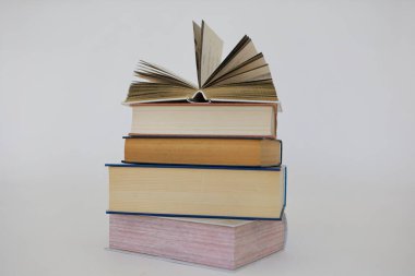 William Shakespeare 'in kitapları, edebiyat, romanlar, kısa hikayeler, şiir, makale, yüksek kaliteli kitaplar, eğitim