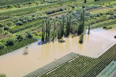 Ormandaki nehrin havadan görünüşü