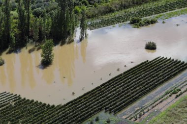 Parktaki nehrin havadan görünüşü
