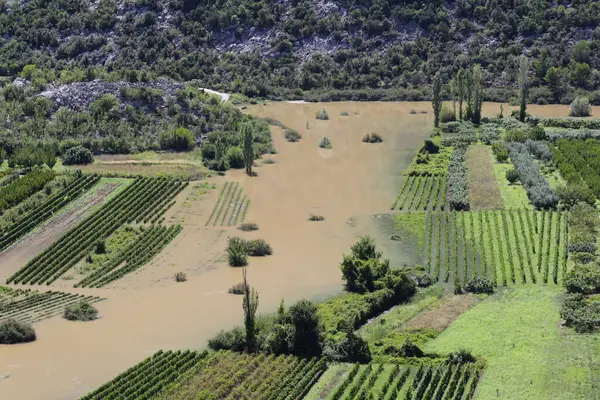 Yüzeye düşen şiddetli yağmurlar nedeniyle, yeraltı nehirleri patladı ve tarlalara büyük miktarda su, çamur ve çamur, üzüm bağları ve tarım alanlarını sel bastı. Parktaki göl..