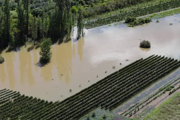 Parktaki nehrin havadan görünüşü
