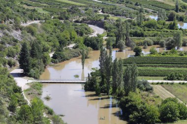 Ormandaki bir nehrin güzel manzarası
