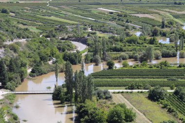 Ormandaki nehrin havadan görünüşü