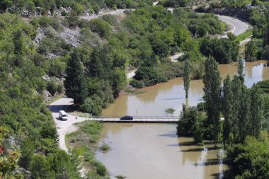 Ormandaki bir nehrin manzarası