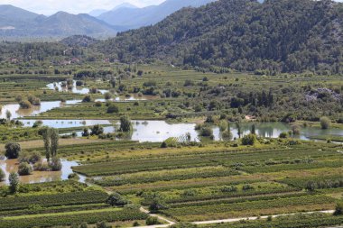 İspanya 'nın kuzeyindeki nehir vadisinin manzarası.