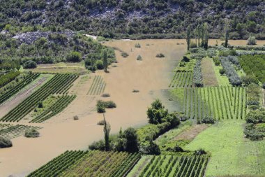 İspanya 'daki sel basmış pirinç tarlaları.