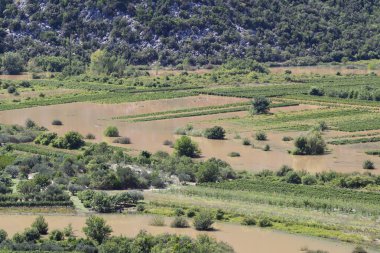 Dağlardaki nehirden manzara