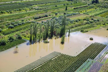 Ormanda sel basmış bir nehrin manzarası