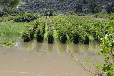 Parktaki nehrin güzel manzarası.