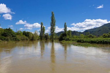 Bulutlu bir günde ağaçlarla ve ormanlarla dolu güzel bir nehir manzarası.