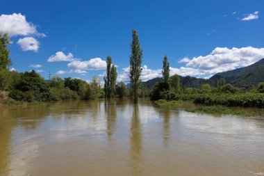 Yazın nehrin manzarası