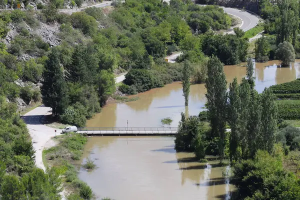 Dağlardaki ağaçların arasından nehir akıyor.