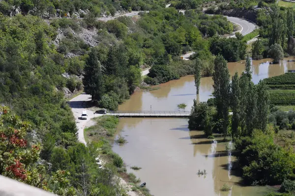 Yeşil bir ormanın içinden akan bir nehir. yüksek kaliteli fotoğraf