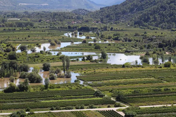 Kırsal kesimde nehir manzarası
