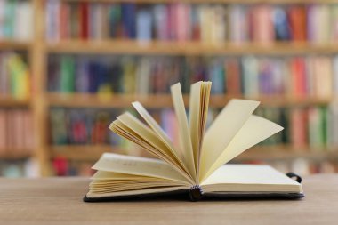 Masada kitap yığını, eğitim geçmişi