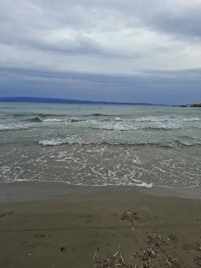 a pile of dry dead sea in a beach on a sunny day.