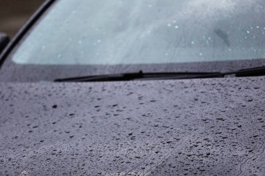 Kupa kupası beyaz arka planda izole edildi.