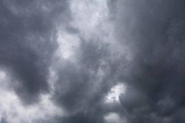 Kupa kupası beyaz arka planda izole edildi.