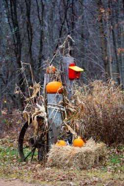 Wisconsin 'de sonbahar için balkabağı süslemesi, dikey
