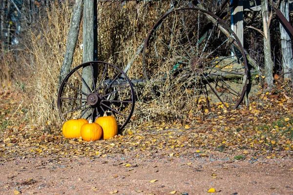 Pumpkins Wagon Wheels Old Fence Post Decorate Driveway Horizontal — Stock Photo, Image